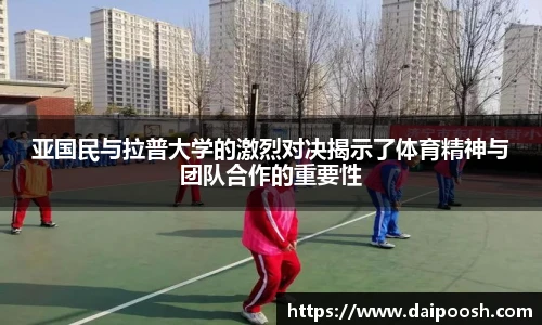 V66体育首页