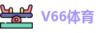V66体育官网首页